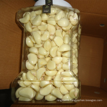 Fresh New Crop Chinese wholesale garlic peeled Garlic in bulk